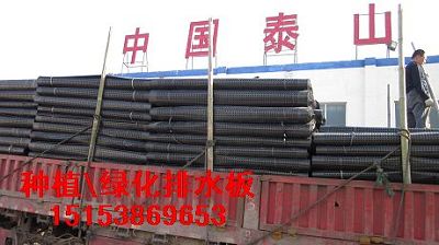 德宏&*HDPE排水板/塑料排水板/园林绿化排水板